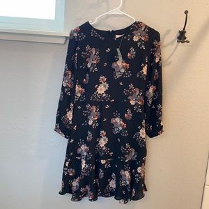Ann Taylor Loft Dress